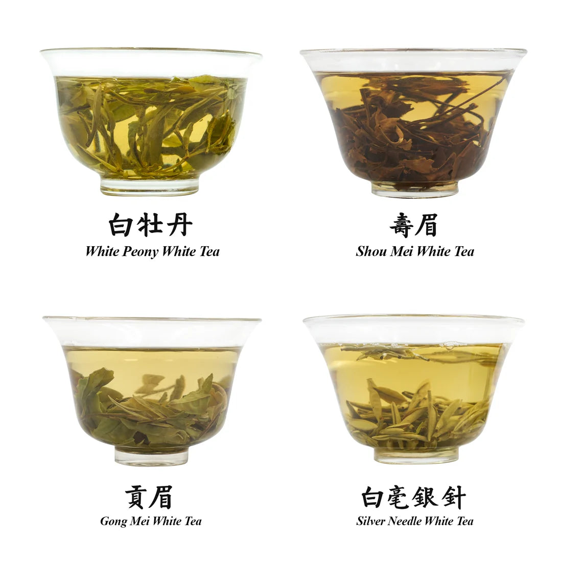 White Tea Gift Set - Silver Needle, White Peony & More