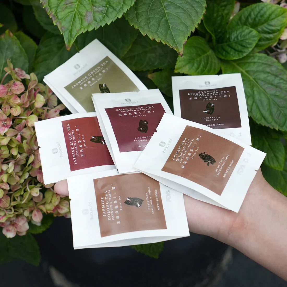 6 Famous Chinese Scented Flower Tea