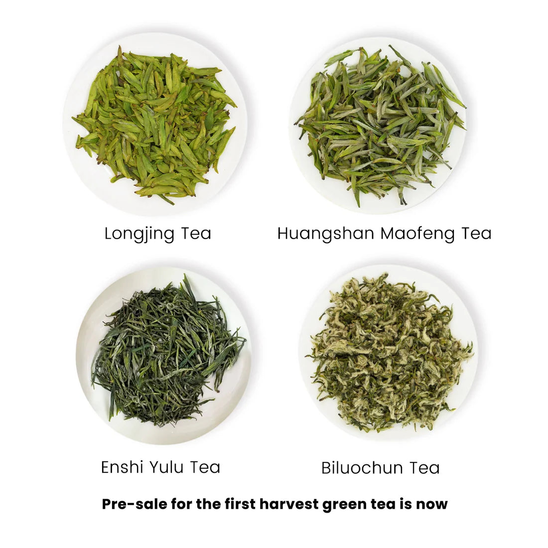 2025 First Flush Spring Tea Collection 100g