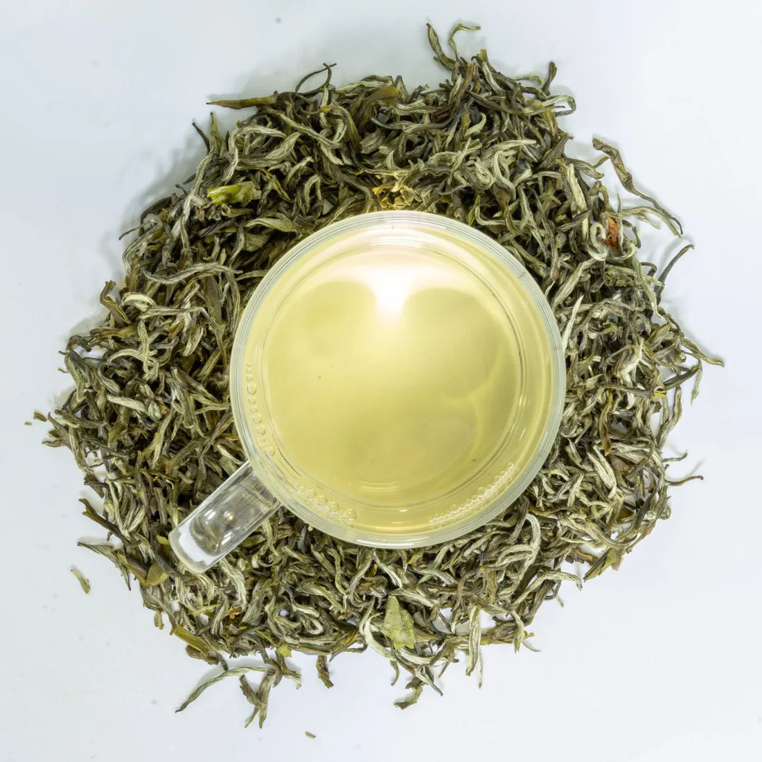 Premium Jasmine Green Tea – Mao Jian Grade 5-Infusion
