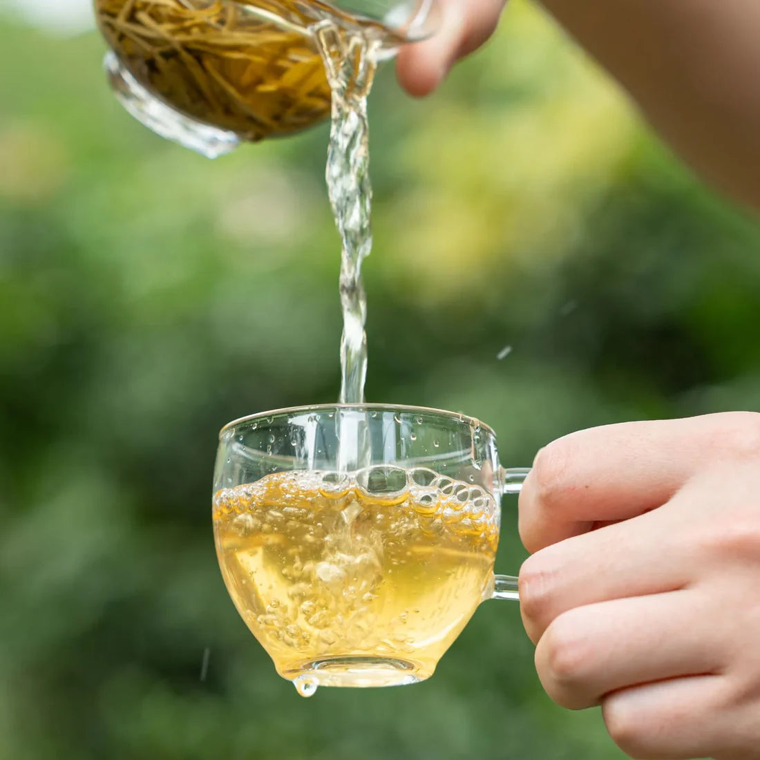 Premium Jasmine Green Tea – Mao Jian Grade 5-Infusion