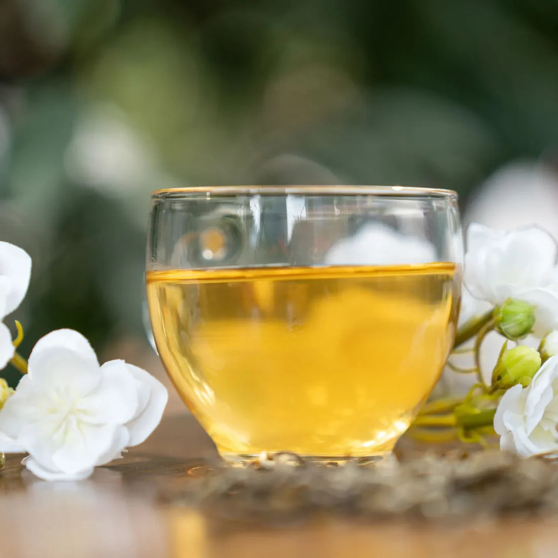 Premium Jasmine Green Tea – Mao Jian Grade 5-Infusion