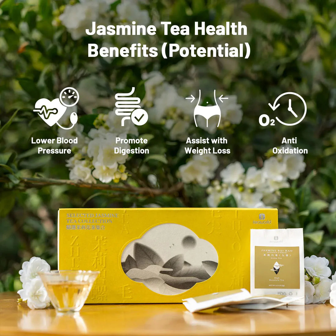 Jasmine Green Tea Gift Set – 3 to 9 Infusions
