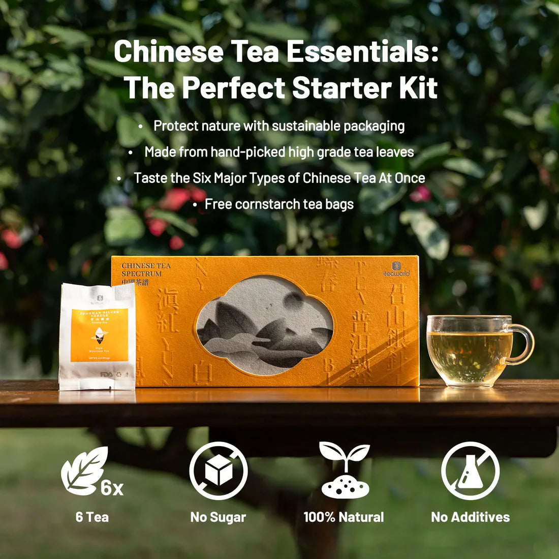 6 Chinese Tea Set – Green, Puerh, Oolong & More 100g