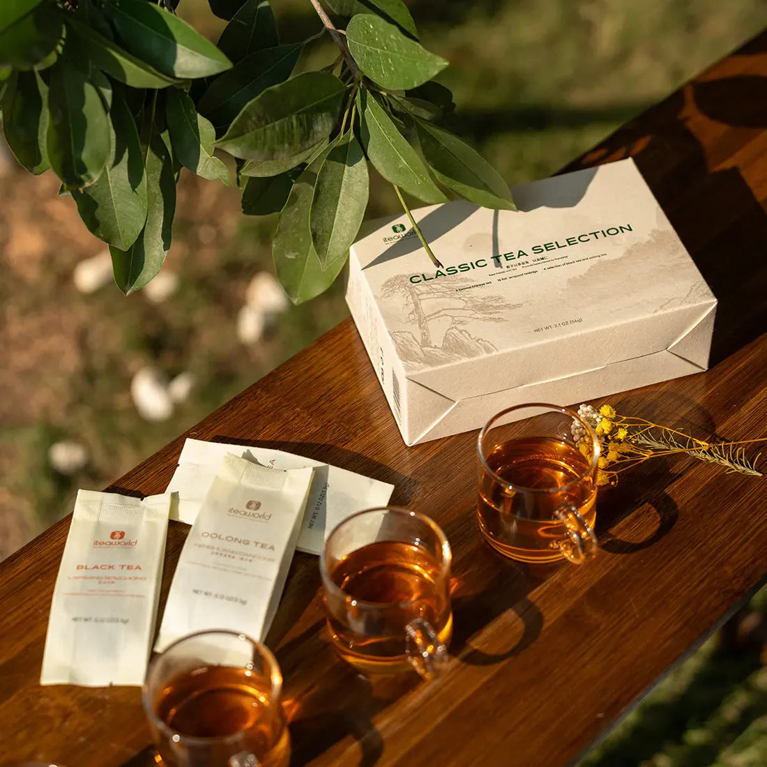 Chinese Tea Gift Set - 8 Oolong & Black Tea for Beginners