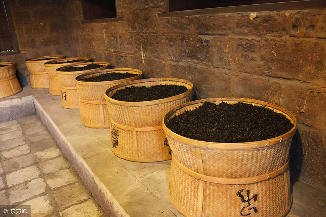Roasted Oolong &amp; The Art of Slow Tea: A Hidden Tasting in Toronto