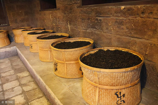 Roasted Oolong &amp; The Art of Slow Tea: A Hidden Tasting in Toronto