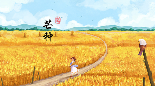 🌾 Mangzhong &amp; Tea: Sip with the Season