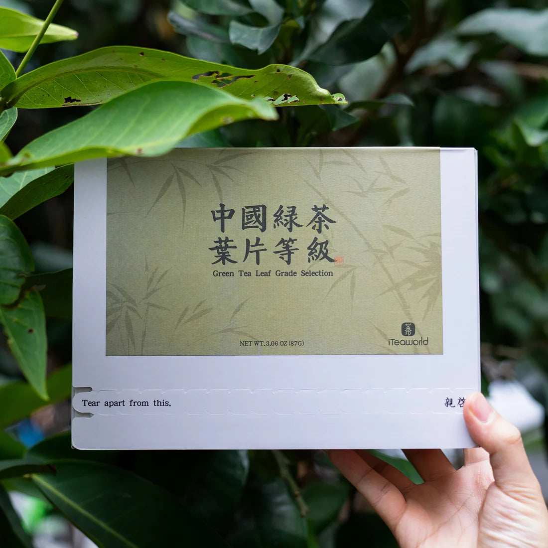 Chinese Green Tea Comparison Set: Longjing & Huangshan Maofeng Grades 90g