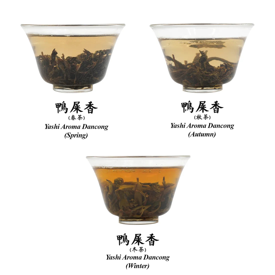 Ya Shi Xiang Dan Cong Oolong Collection by Different Seasons
