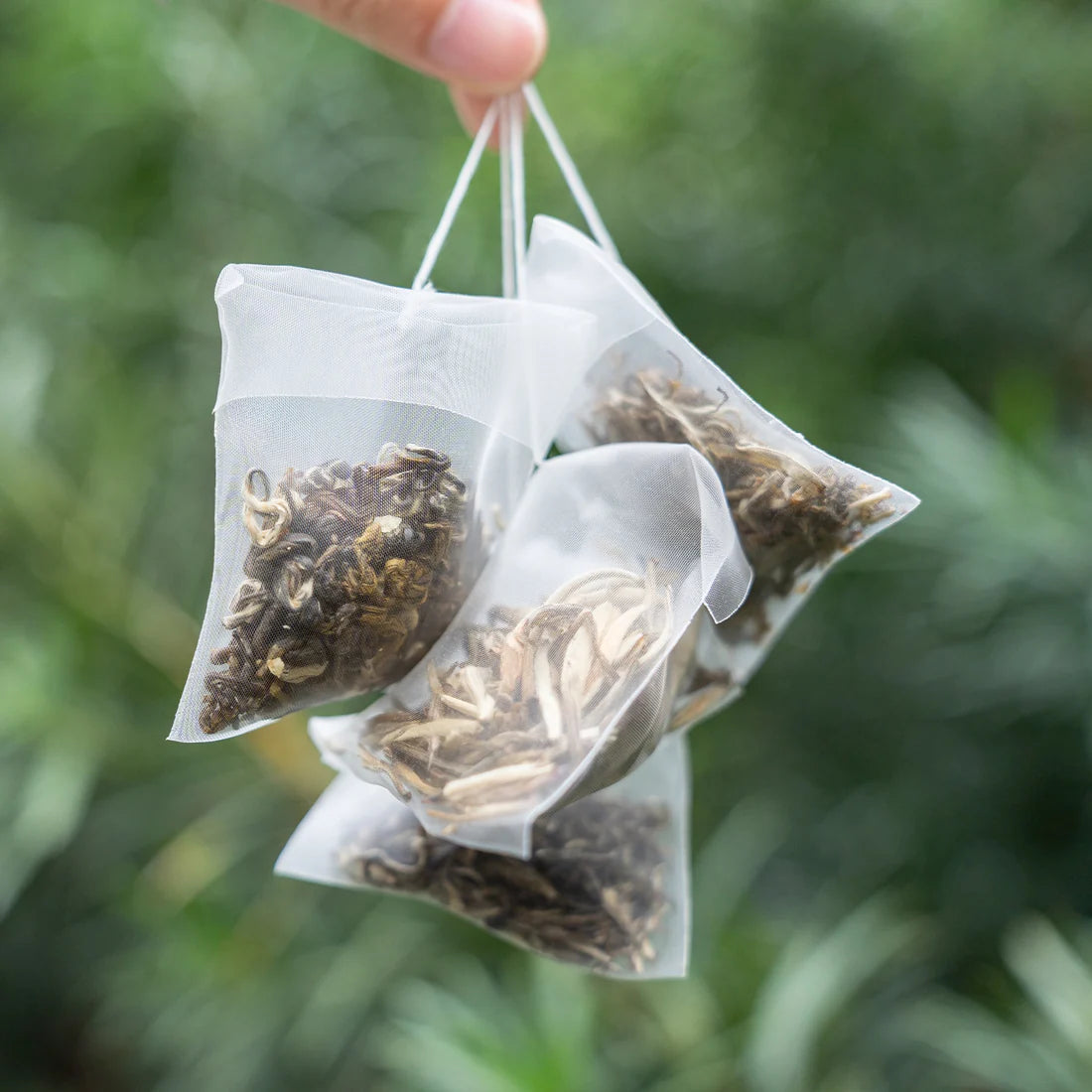 Jasmine Green Tea Gift Set – 3 to 9 Infusions