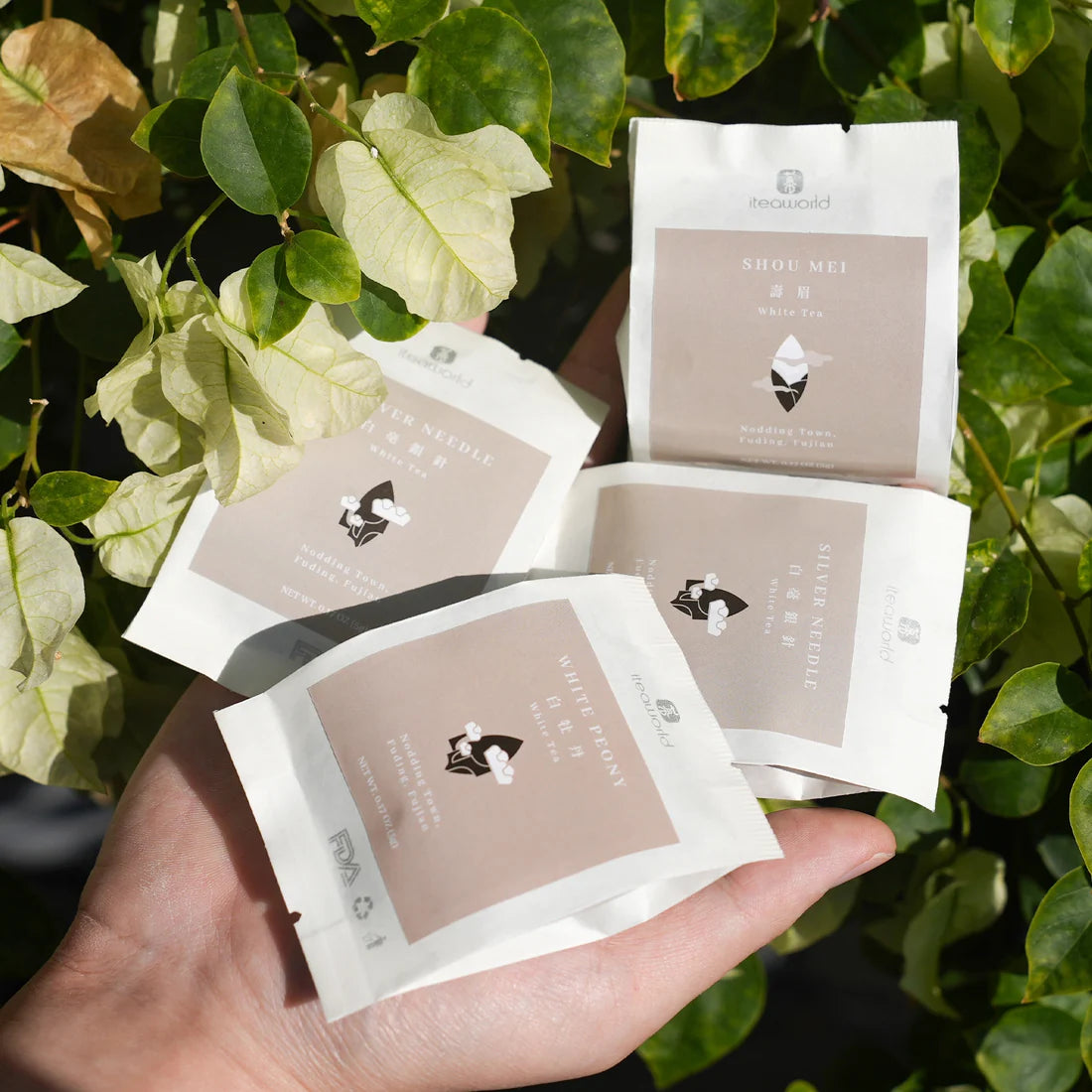 White Tea Gift Set - Silver Needle, White Peony & More
