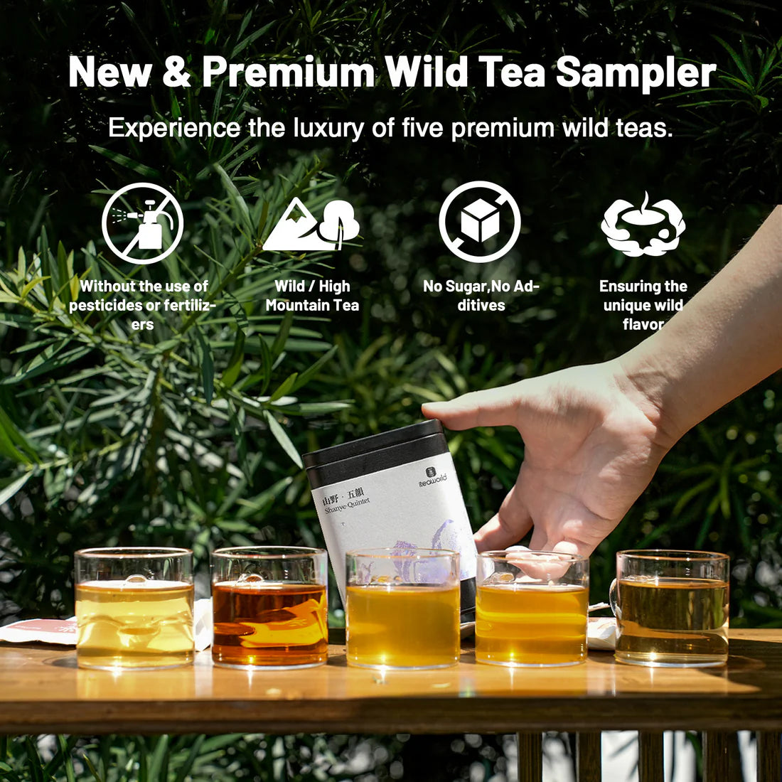 Organic Chinese Tea Set – 5 Wild Varieties