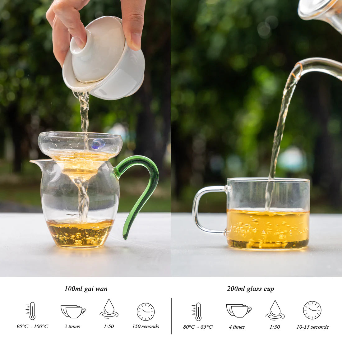 Chinese Green Tea Gift Set – 6 Premium Teas for Tea Lovers