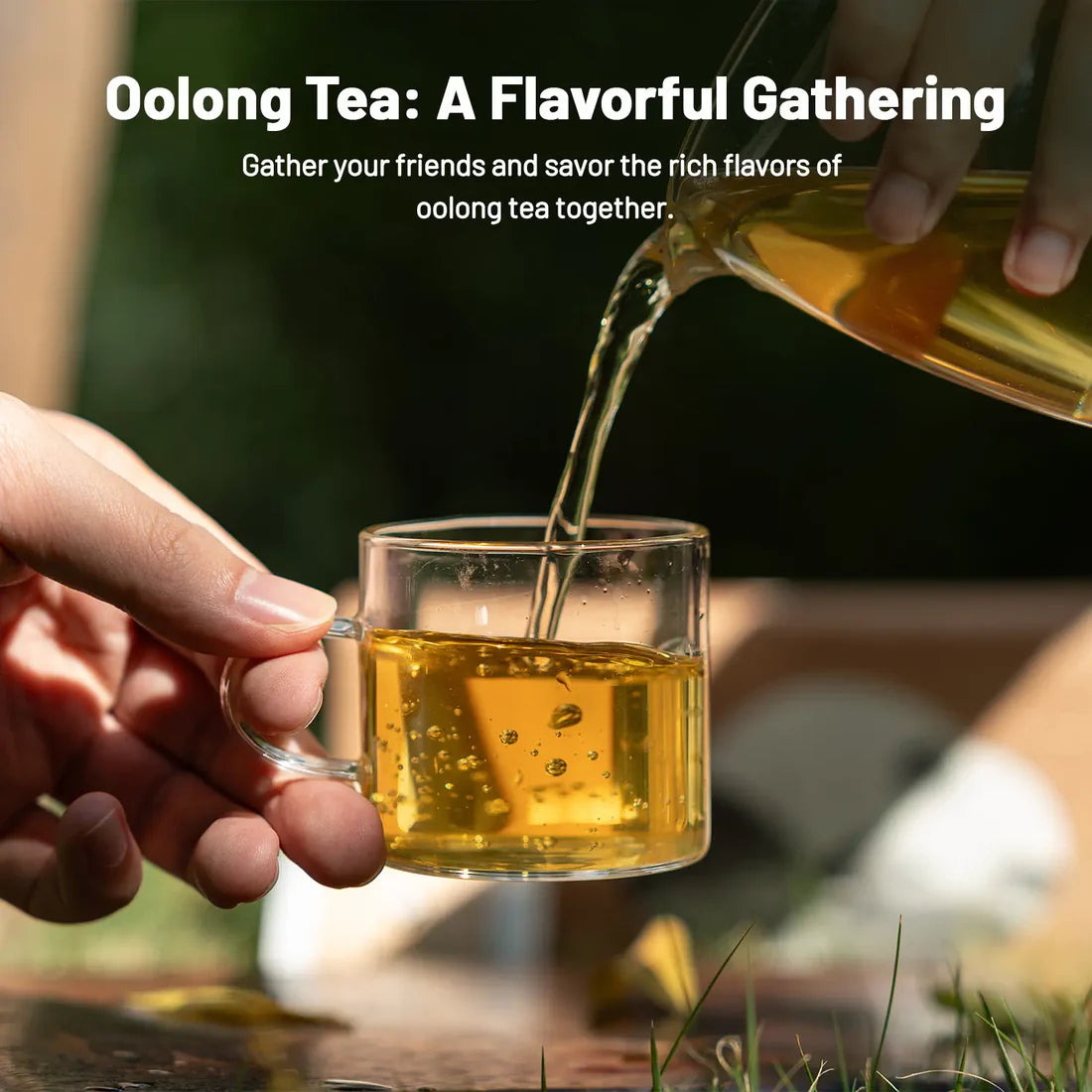 Oolong Tea Gift Set – 4 Premium Teas for Tea Lovers