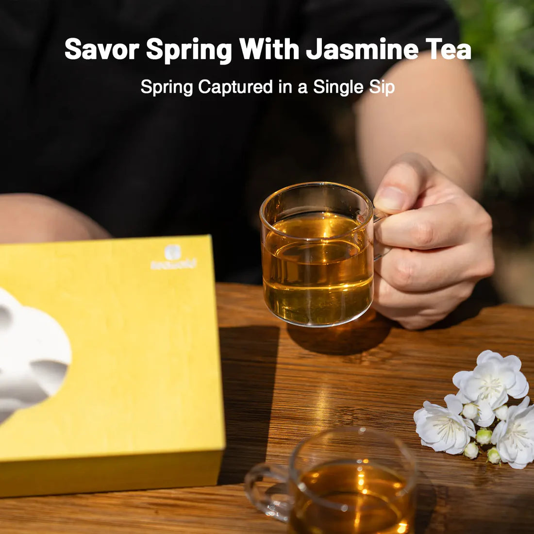 Jasmine Green Tea Gift Set – 3 to 9 Infusions