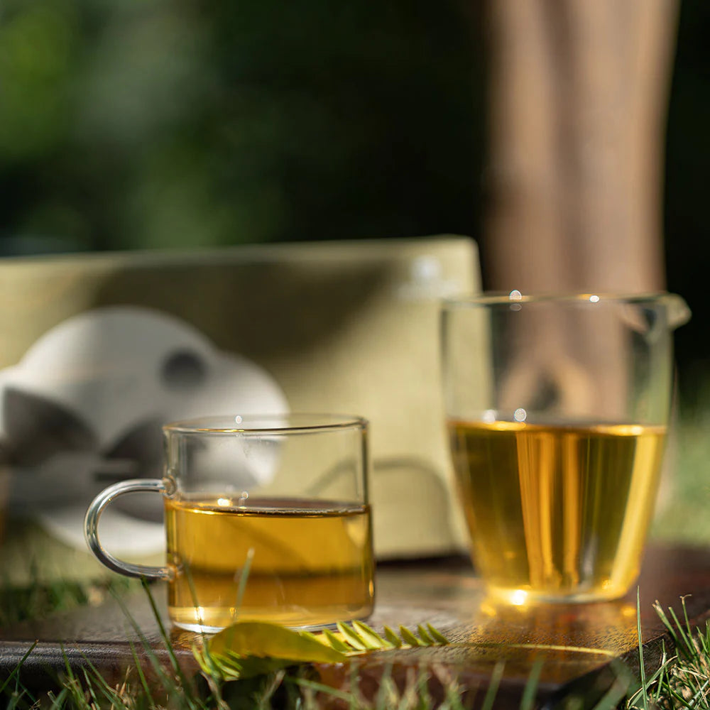 Chinese Green Tea Gift Set – 6 Premium Teas for Tea Lovers