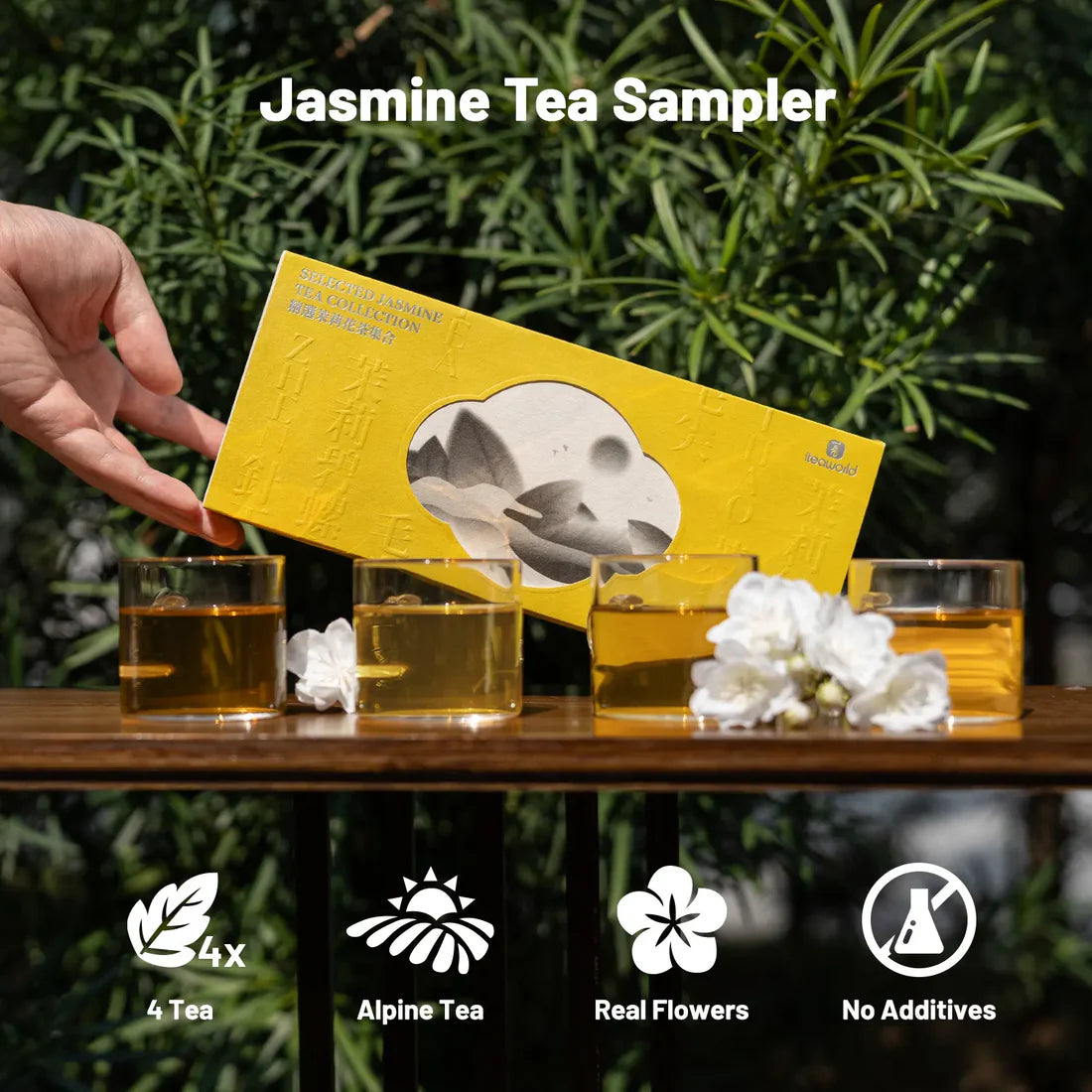 Jasmine Green Tea Gift Set – 3 to 9 Infusions